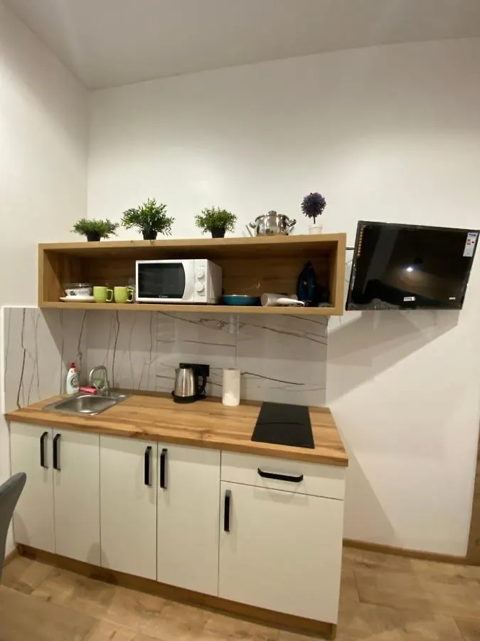 Apartment Віп Студія По Вулиці Крехівській 6 Біля Візового Центру На Джерельній Lviv Ukraine