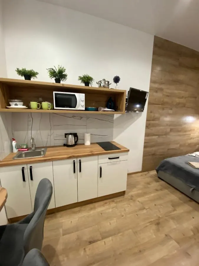Apartment Віп Студія По Вулиці Крехівській 6 Біля Візового Центру На Джерельній Lviv